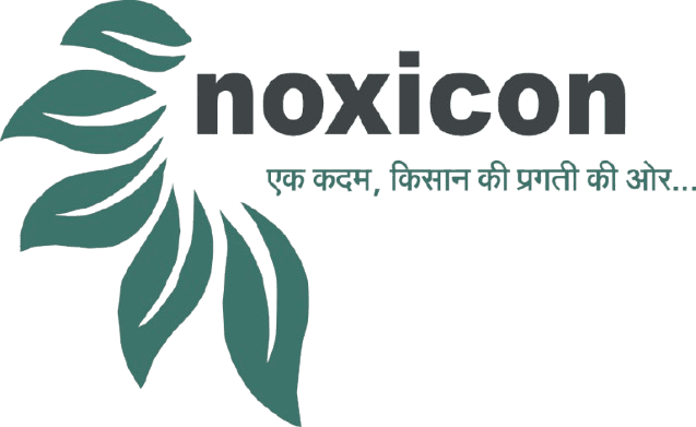 NGO Logo